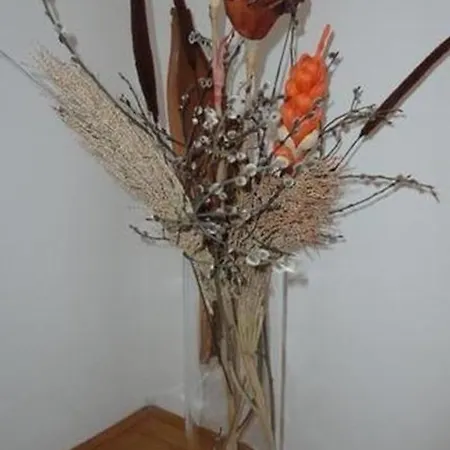 Apartment Wunderschone In Der Nahe Des Sandstrandes